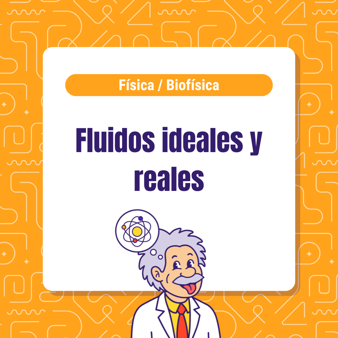 Fluidos ideales y reales – Hidrostática, hidrodinámica y fluidos reales